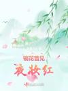 顶级omega大佬和他的霸道alpha娇妻