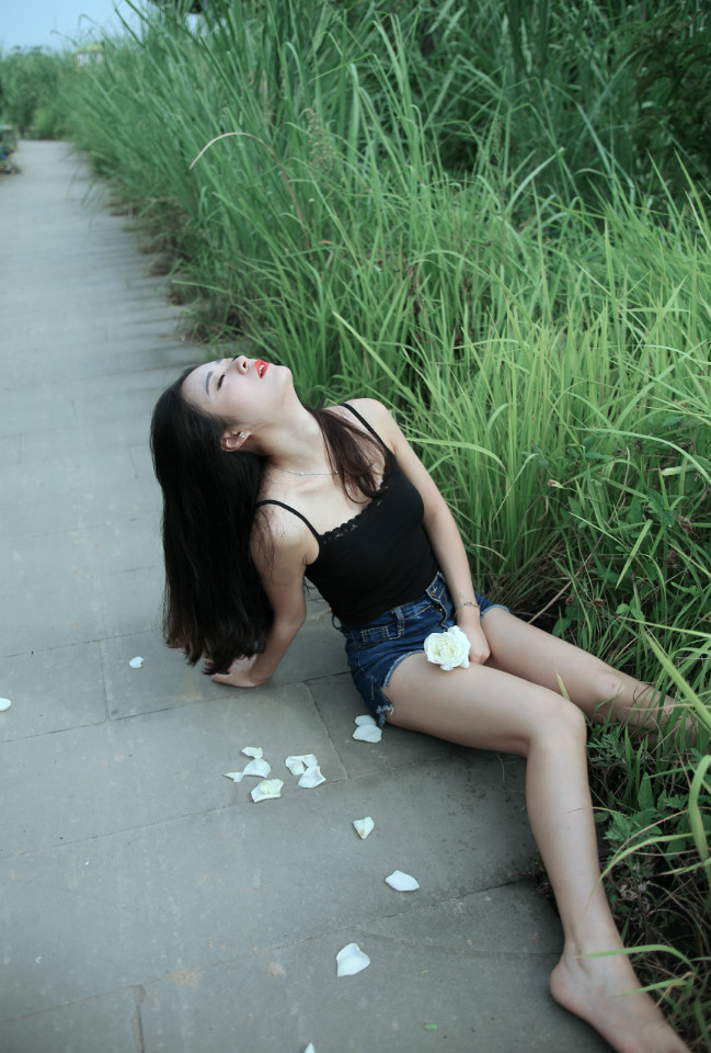 怂狗记事簿